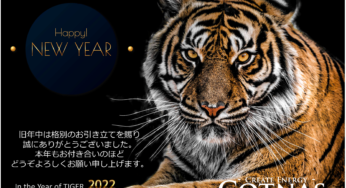 今年が終わるころあなたはどうなってたいですか？