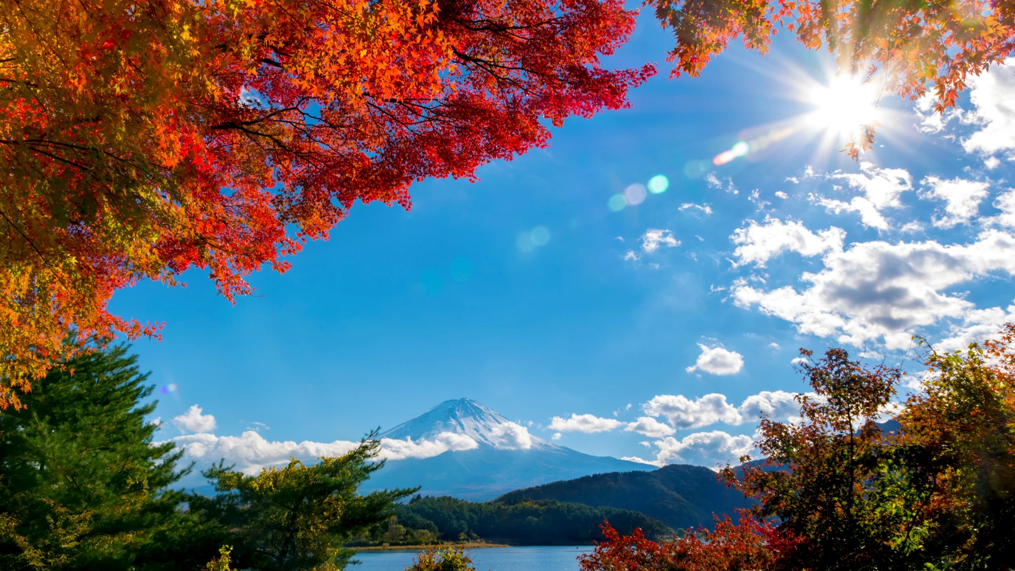 青空と紅葉越しに見える富士山